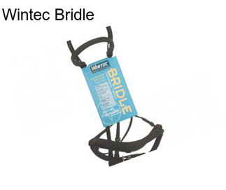 Wintec Bridle