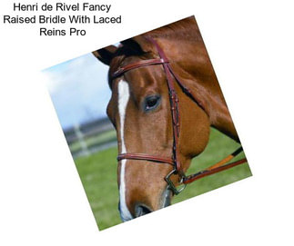 Henri de Rivel Fancy Raised Bridle With Laced Reins Pro