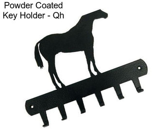 Powder Coated Key Holder - Qh