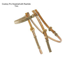 Cowboy Pro Headstall with Rawhide Trim