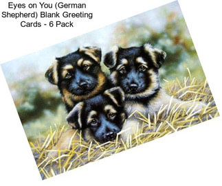 Eyes on You (German Shepherd) Blank Greeting Cards - 6 Pack