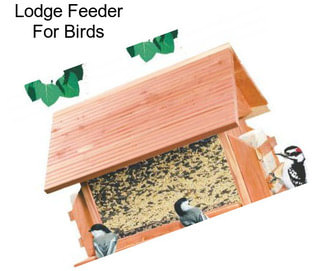 Lodge Feeder For Birds