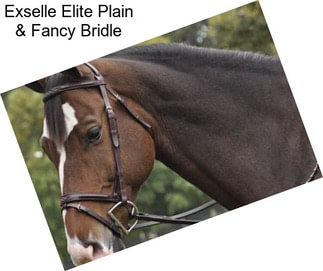 Exselle Elite Plain & Fancy Bridle