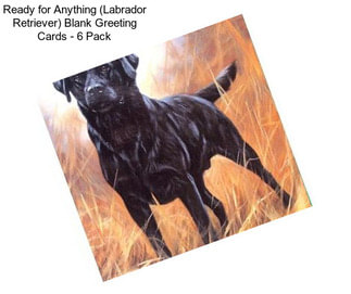 Ready for Anything (Labrador Retriever) Blank Greeting Cards - 6 Pack