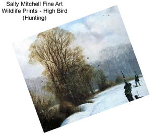 Sally Mitchell Fine Art Wildlife Prints - High Bird (Hunting)