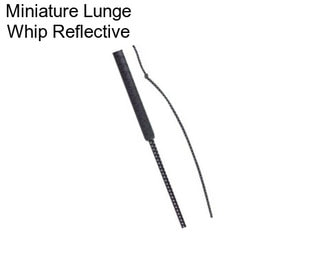 Miniature Lunge Whip Reflective