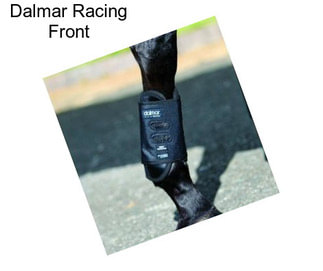 Dalmar Racing Front