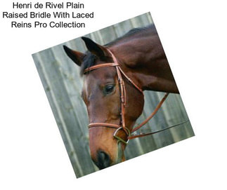 Henri de Rivel Plain Raised Bridle With Laced Reins Pro Collection
