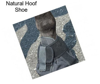 Natural Hoof Shoe