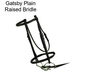 Gatsby Plain Raised Bridle