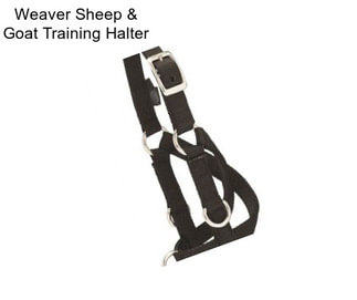 Weaver Sheep & Goat Training Halter