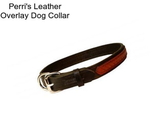 Perri\'s Leather Overlay Dog Collar