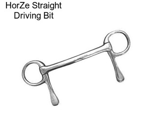 HorZe Straight Driving Bit