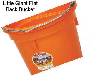 Little Giant Flat Back Bucket