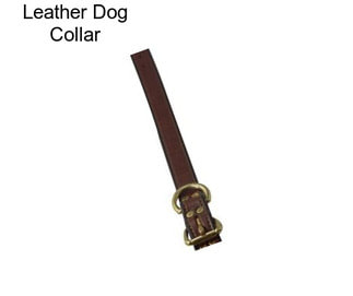 Leather Dog Collar