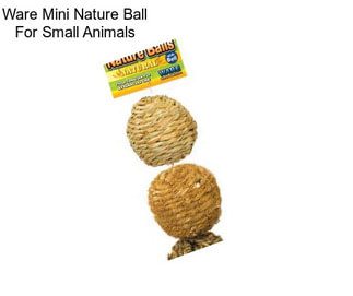 Ware Mini Nature Ball For Small Animals