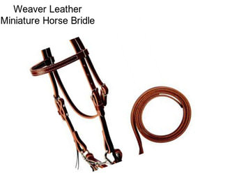 Weaver Leather Miniature Horse Bridle