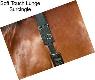 Soft Touch Lunge Surcingle