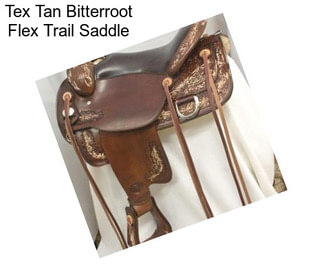 Tex Tan Bitterroot Flex Trail Saddle