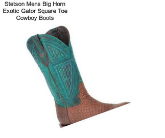 Stetson Mens Big Horn Exotic Gator Square Toe Cowboy Boots