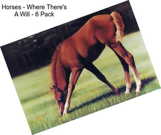 Horses - Where There\'s A Will - 6 Pack