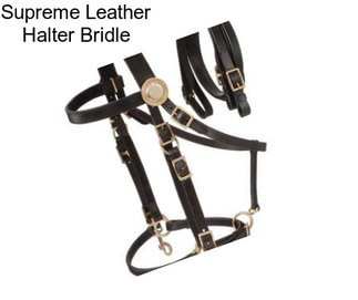 Supreme Leather Halter Bridle