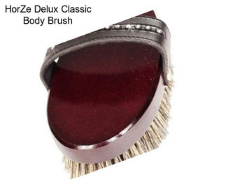 HorZe Delux Classic Body Brush