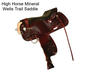 High Horse Mineral Wells Trail Saddle