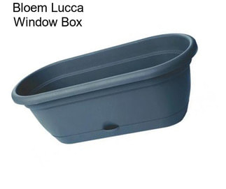 Bloem Lucca Window Box