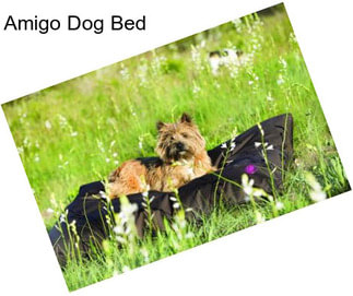 Amigo Dog Bed