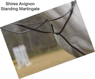 Shires Avignon Standing Martingale