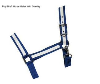 Poly Draft Horse Halter With Overlay