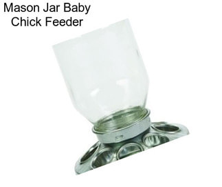 Mason Jar Baby Chick Feeder