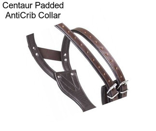 Centaur Padded AntiCrib Collar