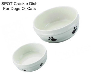 SPOT Crackle Dish For Dogs Or Cats