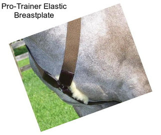 Pro-Trainer Elastic Breastplate