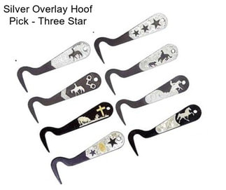 Silver Overlay Hoof Pick - Three Star
