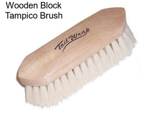 Wooden Block Tampico Brush