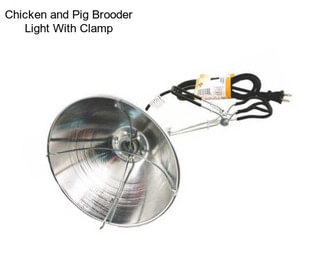 Chicken and Pig Brooder Light With Clamp