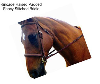 Kincade Raised Padded Fancy Stitched Bridle