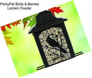 PerkyPet Birds & Berries Lantern Feeder