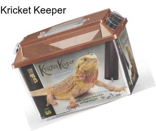 Kricket Keeper