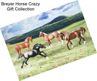 Breyer Horse Crazy Gift Collection