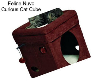 Feline Nuvo Curious Cat Cube