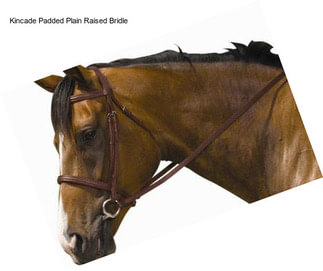 Kincade Padded Plain Raised Bridle