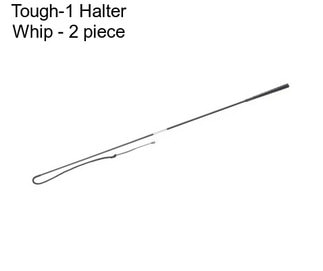 Tough-1 Halter Whip - 2 piece