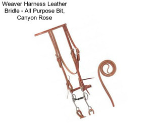 Weaver Harness Leather Bridle - All Purpose Bit, Canyon Rose