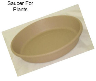 Saucer For Plants