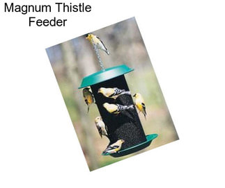 Magnum Thistle Feeder