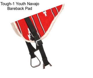 Tough-1 Youth Navajo Bareback Pad